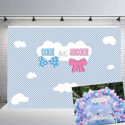 BEIPOTO He or She Gender Reveal Backdrop Cloud Blue or Pink Photography Background vinyl Party Banner baby shower studio B383