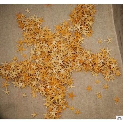 20 pcs 1.5-2.0cm Natural Sea Star Ocean Sea Animal Fish For Micro Landscape Terrarium Decorative Ornament Crafts starfish
