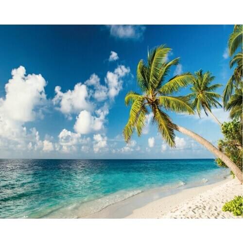 Blue Sky and White Clouds Tropical Beach Backdrop Baby Shower Party Birthday Room Decor Photo Booth Studio Prop