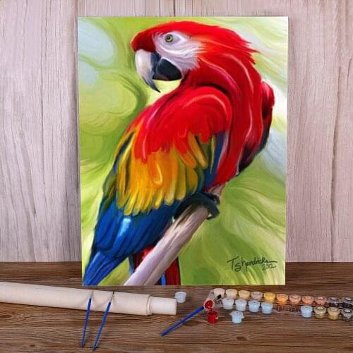 Animal Bird Parrot Coloring By Numbers Painting Kit Oil Paints 50*70 Picture By Numbers Photo Handmade Crafts Drawing