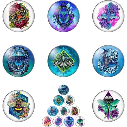 New Insects Butterflies Bees Spiders round Photo Glass Cabochon Demo Flat Back Making Findings Handmade DIY Accessories