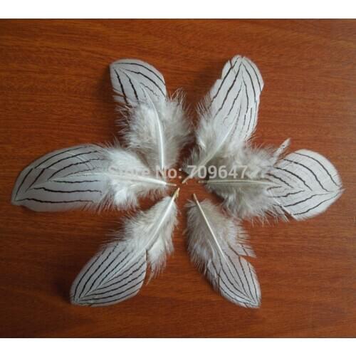 100PCS/LOT!7-10cm long - Silver Pheasant Feathers, NATURAL Silver Pheasant Plumage Feathers,Feathers,Feathers Decoration