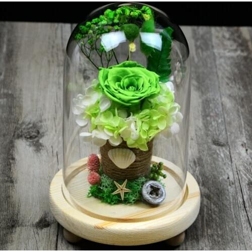 15*18cm Three-Leg Log Base Glass Dome Vase Home Decoration Diameter=15cm Height=18cm Glass Dome Friend Gift Wedding Decoration