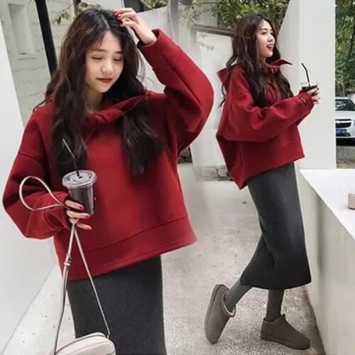 Pregnant Women a Pregnant Women Set 2020 Autumn and Winter New Style Fashion Fashion Mom Elegant Network hong yang Gas by Age Tw