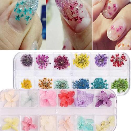 Dried Flower Set 300colors Nail Art Mixed Shape With Bottle 3D Dry Flower Nail Japanese UV Gel Nails Manicure Tips Charming ZCFD