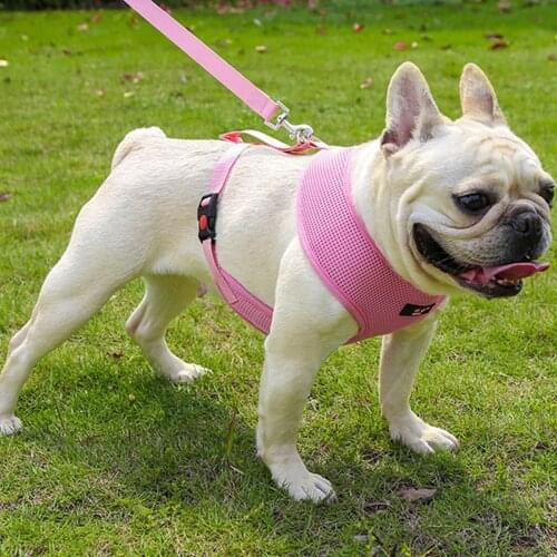 Miflame Breathable Dog Harness For Pet Accessories French Bulldog Dachshund Collar Outdoor Large Dog Collar Training Pet Harness