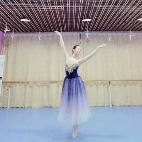 Professional Long Ballet Tutu Dress Gradient Blue Ballerina Adult Kids Ballet Costumes Party Dance Women Ballet Dress Girls