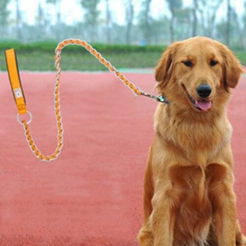 Accessories Dog Leash Training Covered Rope Pet Traction Stainless Steel Dog Collar Pet Supplies