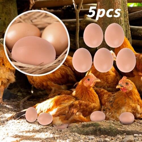 5pcs Fake Dummy Egg Hen Poultry Chicken Joke Prank Plastic Eggs Party Decoration Novelty Toy For Kids Diy Simulation Egg Model