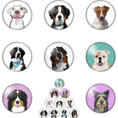 New Pet Animals Lovely Dog 12mm/20mm/25mm/30mm Round Photo Glass Cabochon Demo Flat Back Making Findings