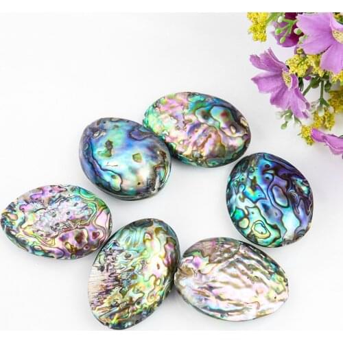 Natural Abalone MOP Shell Double Curved Pendant Freshwater Colored Shell Home Collection Specimen DIY Jewelry Making Accessories
