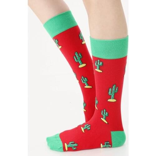 3 pair from turkey high quality cotton happy socks womens summer lot pack wholesale socs design red green cactus plant herb