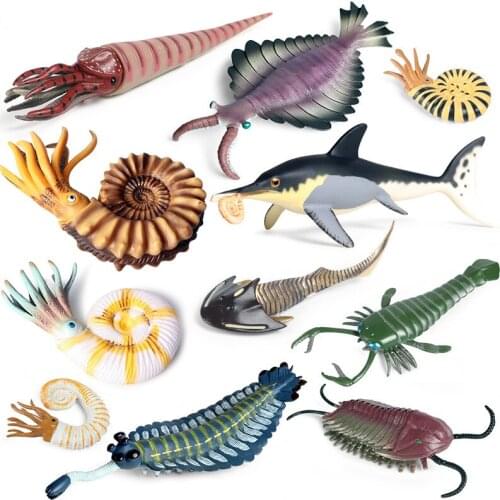 New hot Ancient marine life Simulated Sea Animals Nautilus Anomalocaris ichthyosaur Trilobites Action Figure Toys Gift Model Kid