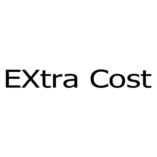 Extra Fee
