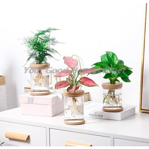 Lazy Transparent Flowerpot Hydroponic Automatic Water Absorption Flowerpot