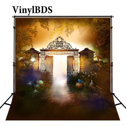 VinylBDS Halloween Background Photography Color Lighting Lamp Fond Photographine Iron Gate Foreast Leaf Photo Background J01689