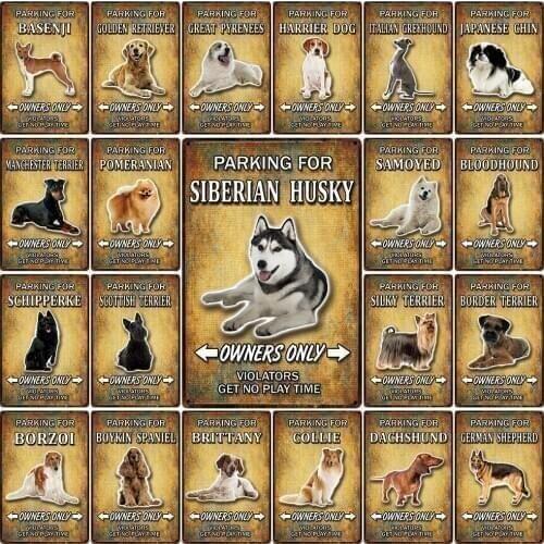 [ Kelly66 ] Pet Dog Collie Manchester Silky Scottish Terrier Tin Metal Sign Home Decor Bar Wall Art Painting 20*30 CM Size Dy122