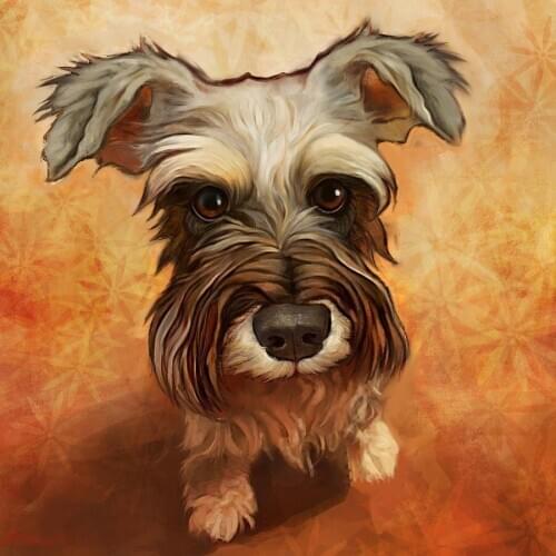 JMINE Div 5D Schnauzer Dog Full Diamond Painting cross stitch kits art High Quality Animal 3D paint by diamonds