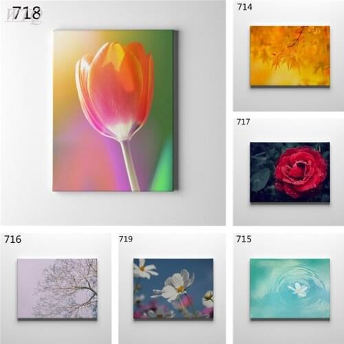Maple Leaf Rose Tulip Flower Posters and Prints Anime Posters Wall Poster Canvas Painting Wall Decor Wall Art Picture Home Decor