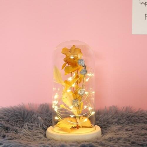 Gold Foil Rose Flower Bear in Glass Dome with LED Night Light Mothers Day Valentines Day Gifts Wedding Party Decoration
