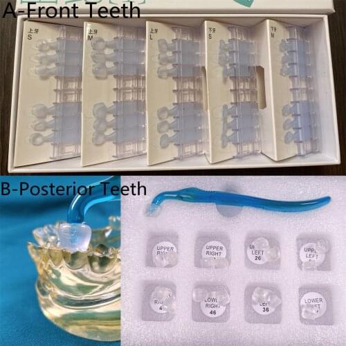 1Set Dental Restoration Filling Tools Front/Posterior Teeth Aesthetic Printing Model