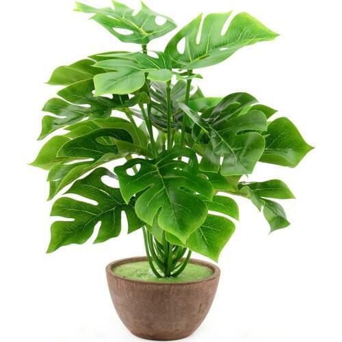 Nanairo Artificial Palms