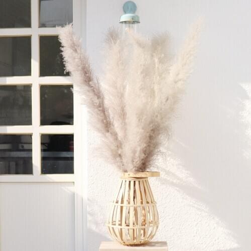 55cm 5/10pcs Pampas Feather Wedding garden Flower Large Fluffy Natural Real Dried Pampas Wholesale birthday party decorations