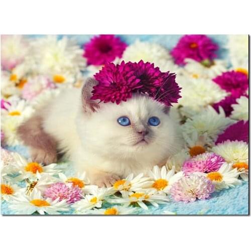 Full square 5d diamond painting Cats Chamomiles Chrysanthemums Kittens Cute rhinestone cross stitch diamond embroidery painting
