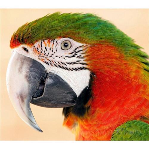 DIY 5D Crystal Round Diamond Painting Parrot Animal Icons Diamond Embroidery Mosaic Painting Home Decoration Cross Stitch Wall