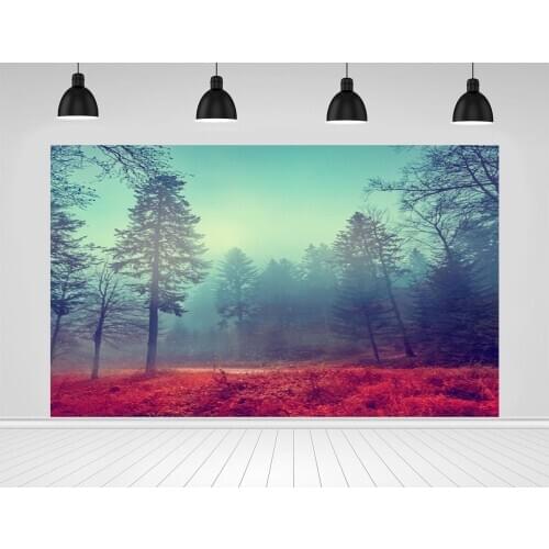 Scopiso The Mountains Of Poland Vinyl Photography Background Outdoor Travel Photographic Backdrop Photo Studio Decoration Props