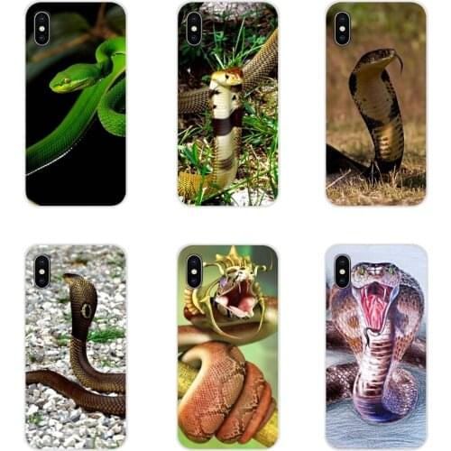 For Apple iPhone X XR XS 11Pro MAX 4S 5S 5C SE 6S 7 8 Plus ipod touch 5 6 Accessories Phone Shell Covers Black Snake