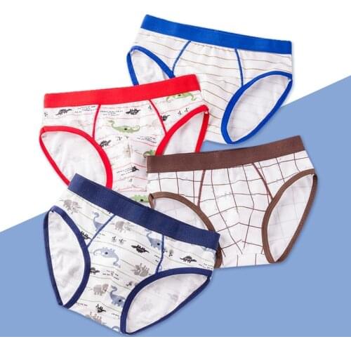 Boy Panties Cartoon Dinosaur Briefs Stretch Kids Underwear Children Panties Breathable Teen Underpants for 3-15Y Boys