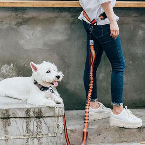 Pet Leash for large dogs Adjustable og Leash Two-color Pet Products Outdoor Dog Traction Rope Chain Nylon High Quality Dog Leash