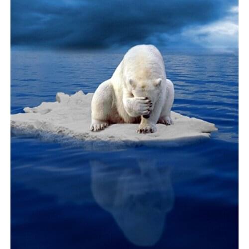 Handmade needlework diy diamond painting kit diamond embroidery full rhinestone Polar bear cross stitch diamond picture HL705