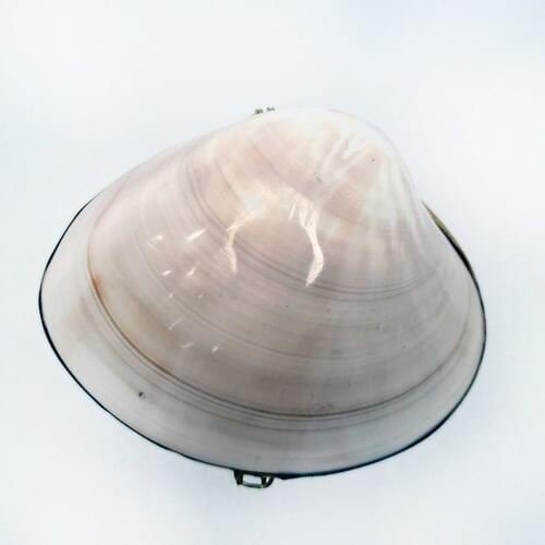 Turkuaz Hediyelik Accessories For Lamps