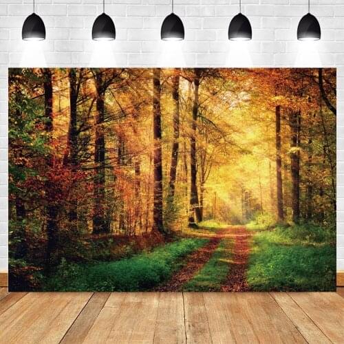 Yeele Scenic Romantic Tunnel Trees Grassland Beam Photography Backdrop Personalized Photographic Backgrounds For Photo Studio