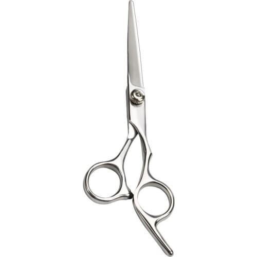 Professional Pet Grooming Scissor Shear Silver Quality Product