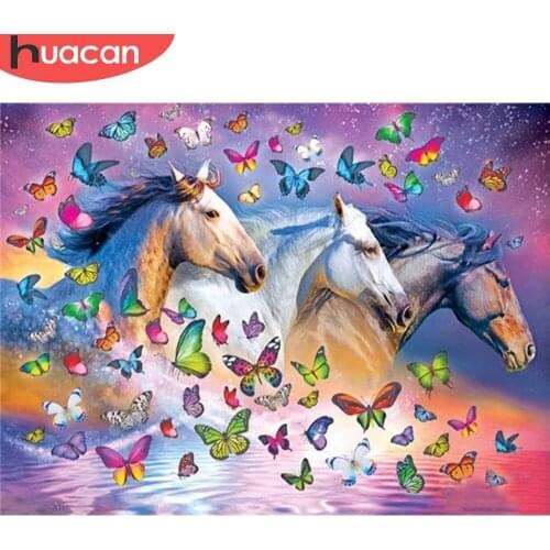 HUACAN Pictures By Number Horse Animals Kits For Adults Handpainted Paint By Number Butterfly Home Decoration DIY Gift 50x65cm
