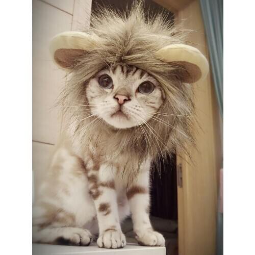 Funny Pet Cosplay Cat Clothes Cap Clothes for Cat Lion Mane Cats Warm Lion Hair Wig New Year Party Christmas Cosplay Accessories