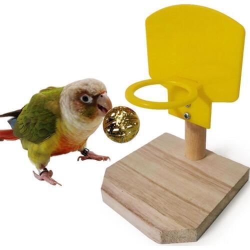 Training Basketball Toy Set Parrot Chew Foraging Ball Educational Gym Playground Play Toys
