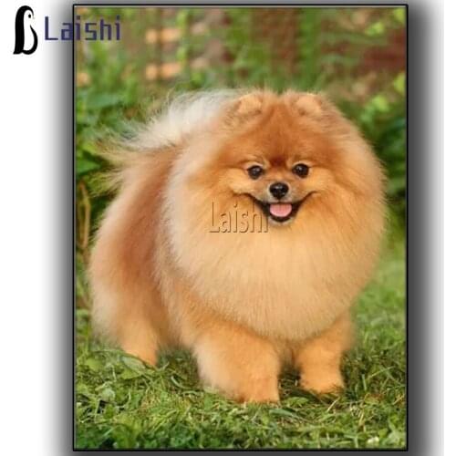 Pomeranian dog fat pet Full Square round Diamond painting mosaic crystal painting diy diamond embroidery animal rhinestone art
