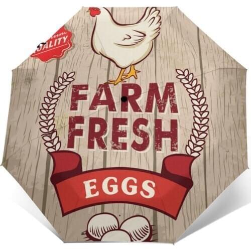 Sunny Umbrella Retro Fresh Egg Rooster On Wooden Automatic folding portable men umbrella Sunscreen rain Windproof beach parasol