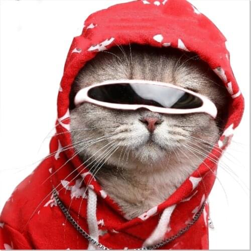 Pet Accessories for Cats Glasses Cute Fashion Cool Pet Sunglasses Personality Funny Cat Eye Sunglasses Pet Photo Props Cat Toy