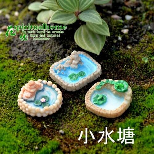 3pcs Moss Micro Landscape Ornaments Meaty Plants Ornaments Dolls Ornaments 3 Pools DIY Materials Miniature Garden Ornament
