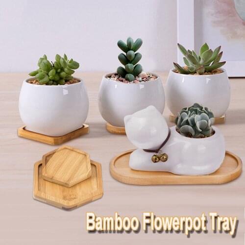 Simple Bamboo Wood Tray Round Square Hexagon Flowerpot Base Planters Pot Stander Succulents Bonsai Holder Home Decor Gardening