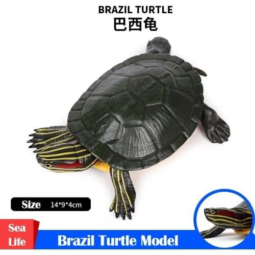 Simulation Brazilian Tortoise Model Plastic Solid Simulated Sea Fish Animals Hand Model Educational Toys Christmas Gift For Kids