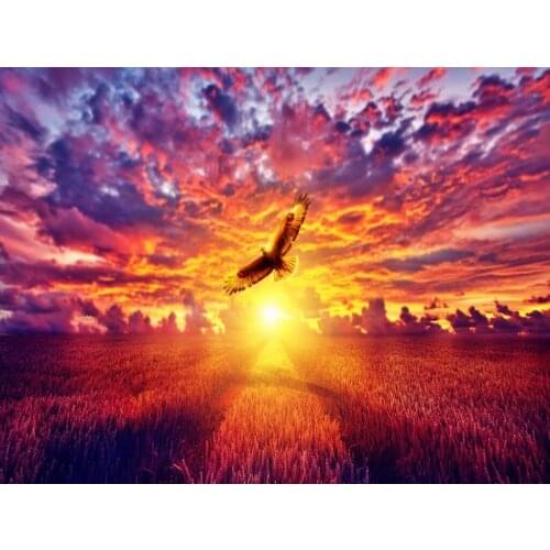JMINE Div 5D eagle sunset clouds sky Full Diamond Painting cross stitch kits art High Quality Animal 3D paint by diamonds