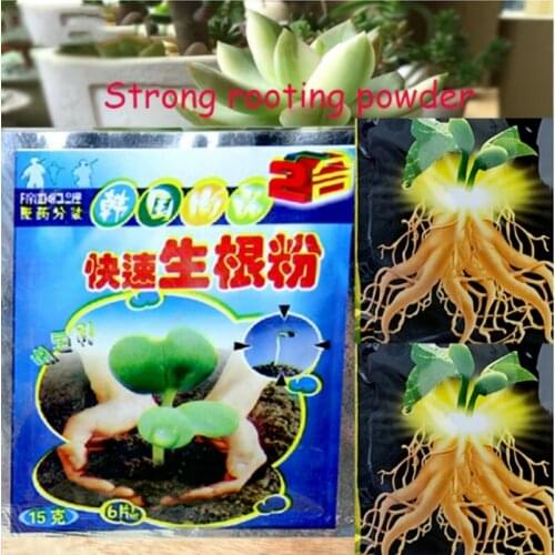 4 Pcs Flower Strong rooting powder growing roots seedling strong recovery root vigor germination aid fertilizer Garden medicine