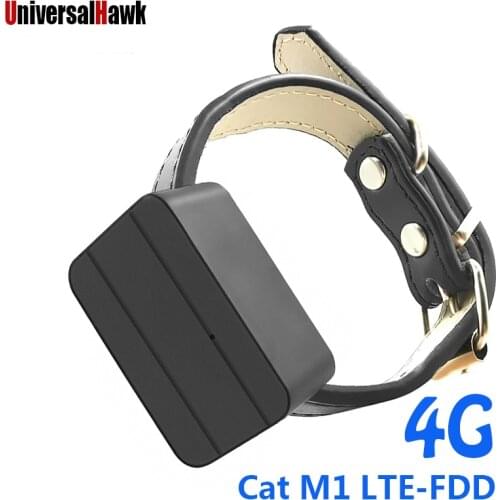 Pet dogs 4G Mini GPS Tracker Kids Personal Locator Anti-Lost Tracking Device Voice Monitor Cat M1 LTE-FDD Free Website APP