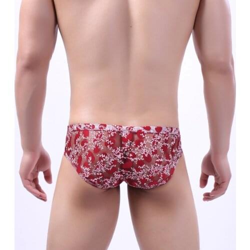 Sexy Men Briefs Man Jockstrap Male Underwear Cueca Tanga Slip Homme Kincker For Men Quick Dry Gay Bikini Briefs Mesh Print HT055